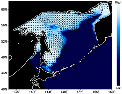 Sea ice distribution and motion vector